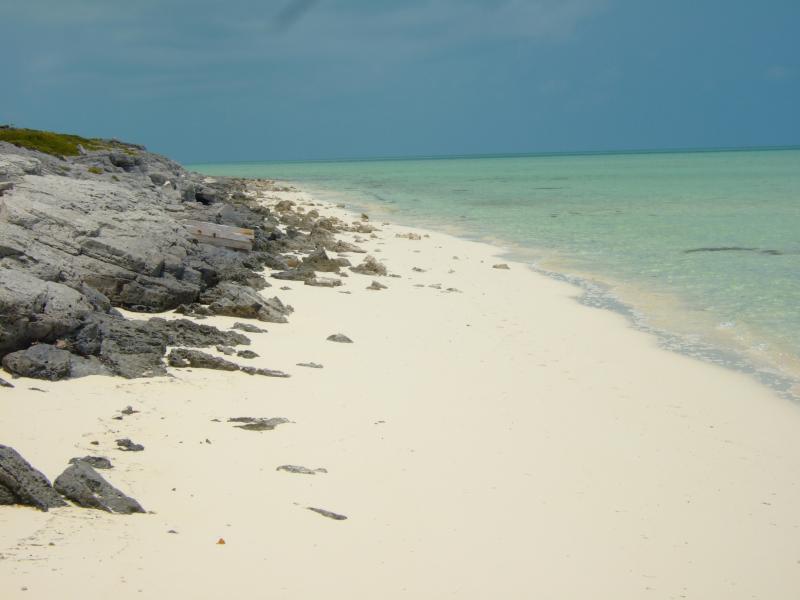 Turks and Caicos, Ambergris Cay, Oolitic Beach, Conch, Flood Geology