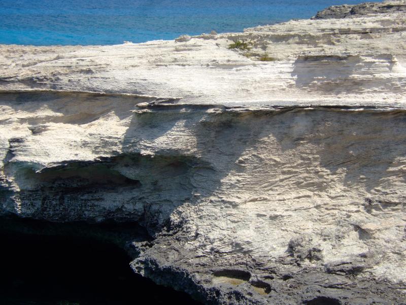 Turks and Caicos, West Caicos Island, Pleistocene Carbonate Beach