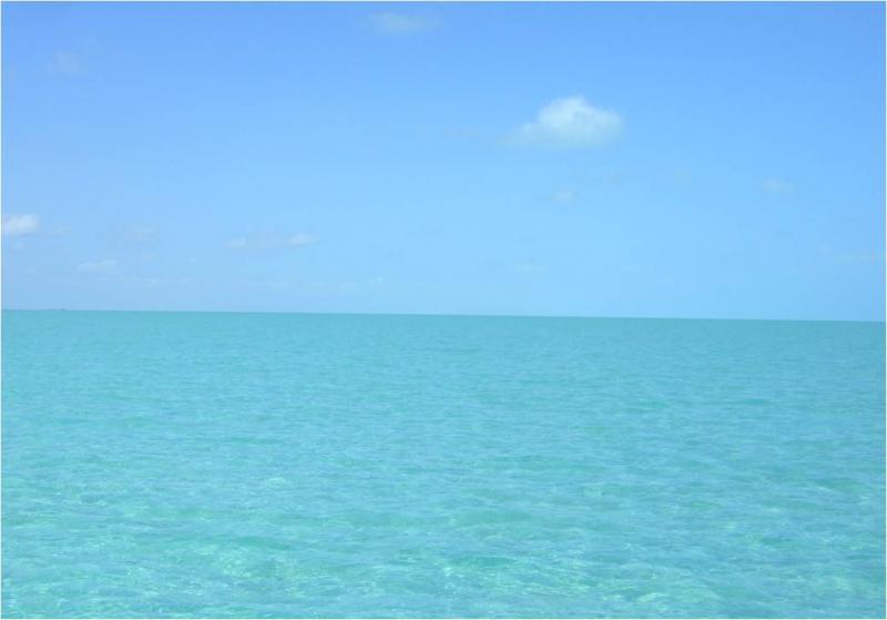 Turks and Caicos Platform, Noah's Flood and Geology