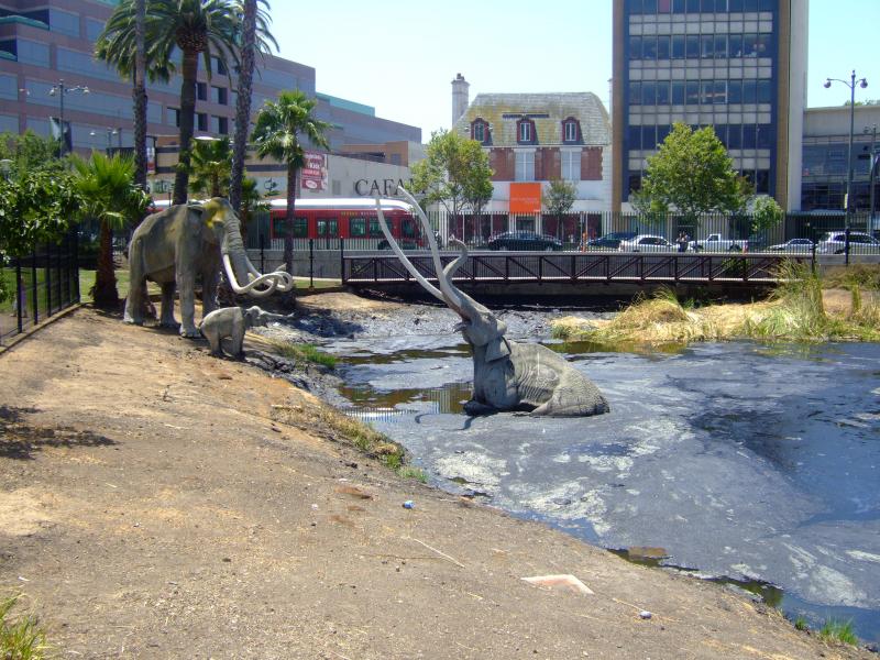 La Brea Tarpits, Pitch, Genesis Flood